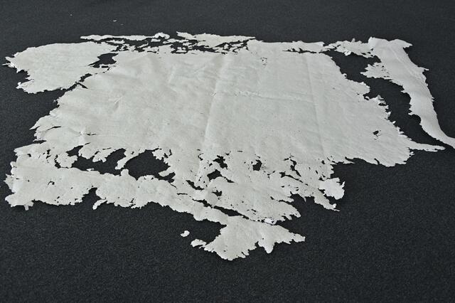 Foto: Ilona Schäfer