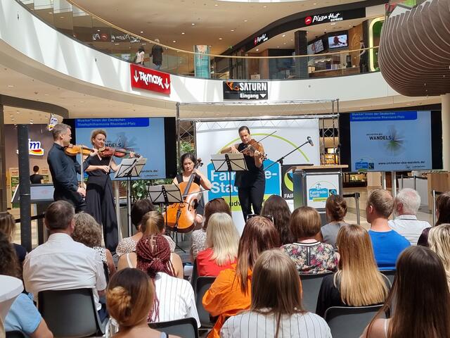 Das Orchester des Wandels sorgte für musikalische Unterhaltung | Foto: Basaric-Steinhübl