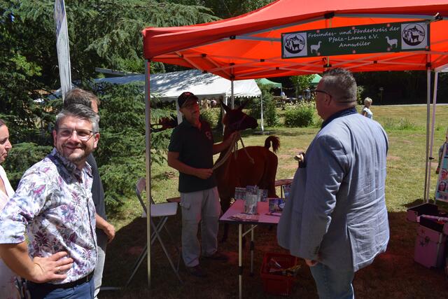 Besuch bei den Pfalz-Lamas | Foto: B. Bender