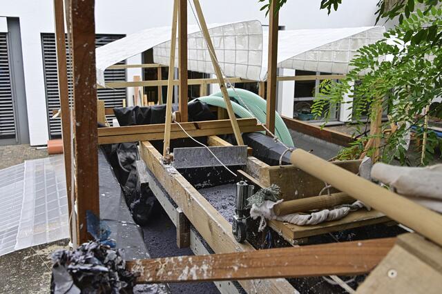 Foto: Ilona Schäfer