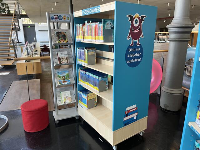 Vier Bücher können von den Kindern auf einmal ausgeliehen werden. Im Durchschnitt las letztes Jahr jedes in Landau angemeldete Kind vier bis sechs Bücher. | Foto: Katharina Schmitt