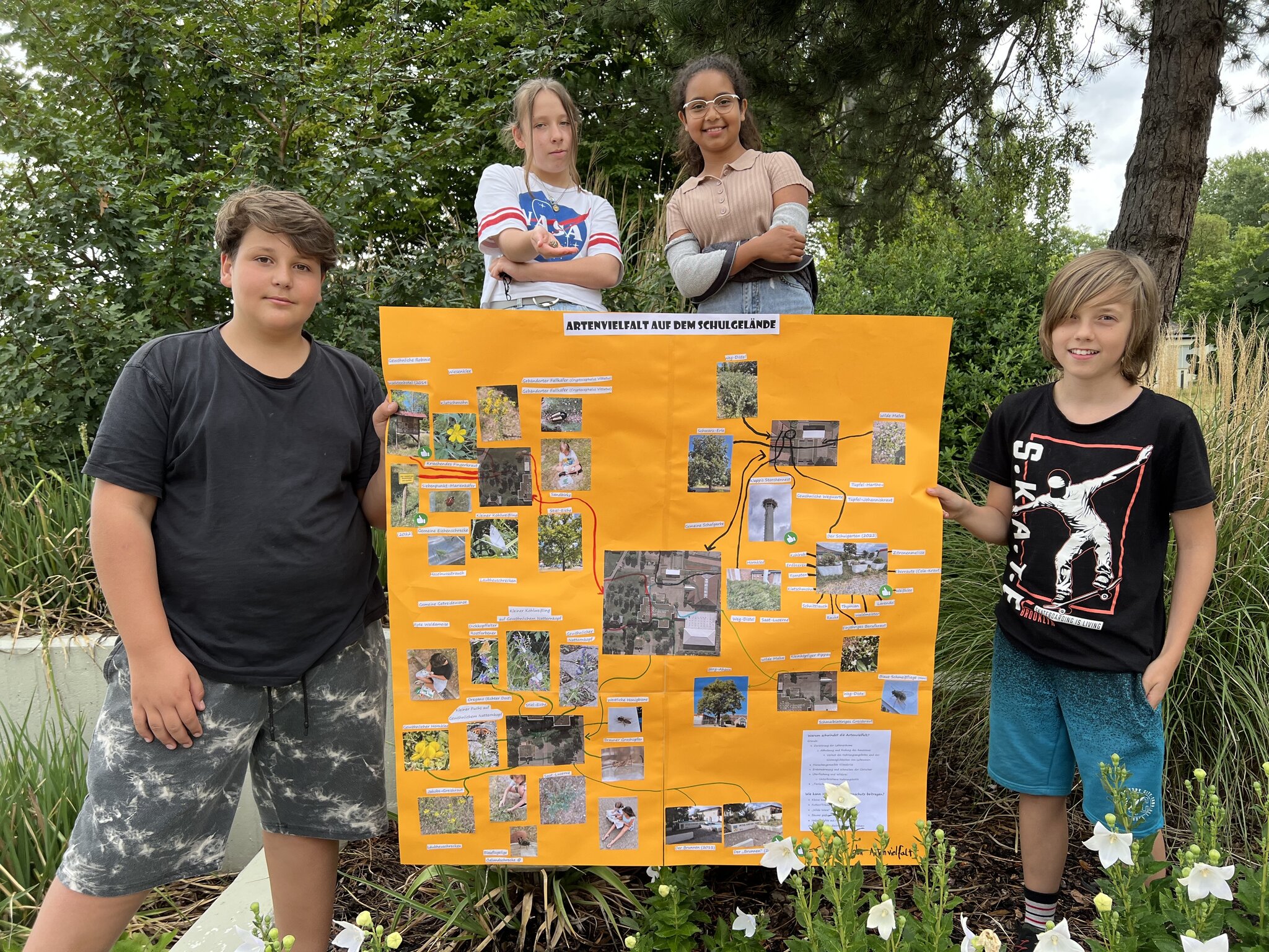 PeterGärtnerRealschule plus Böhl Iggelheim Projekt Artenvielfalt