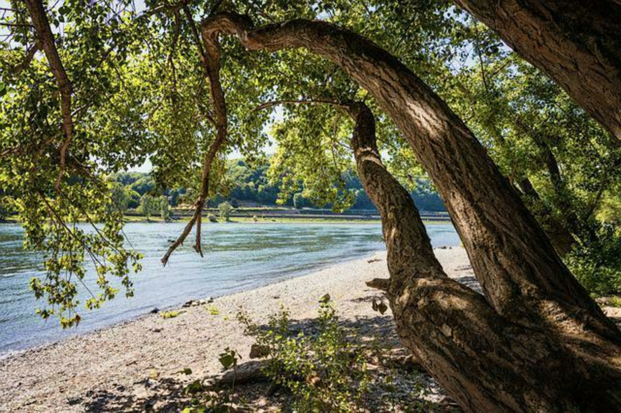 Baden-im-Rhein-f-hrt-zu-Feuerwehreinsatz-in-Mannheim-und-Ludwigshafen