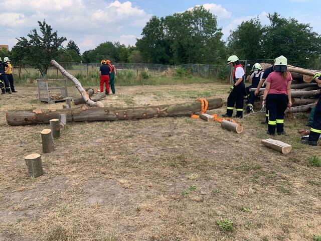 Foto: Feuerwehr Haßloch