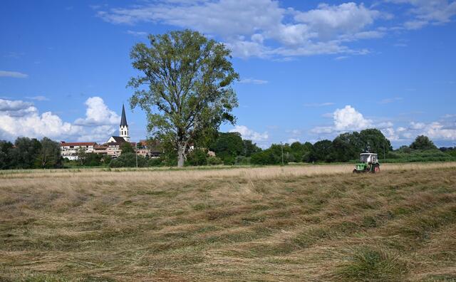 Woogwiesen Jockgrim | Foto: A. Abt