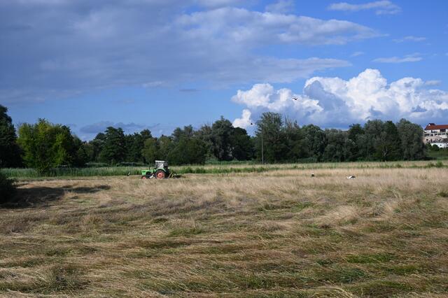 Woogwiesen Jockgrim | Foto: A. Abt