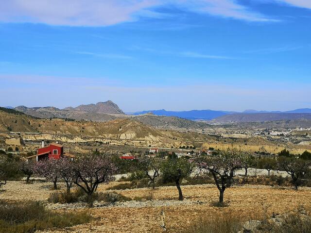 Valle de Ricote | Foto: Petra Lupp
