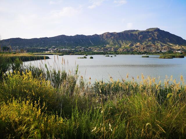 Valle de Ricote: Stausee im Frühsommer | Foto: Petra Lupp