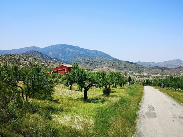 Valle de Ricote | Foto: Petra Lupp