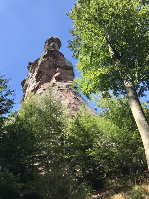 Imposanter Burg-Fels | Foto: B. Bender