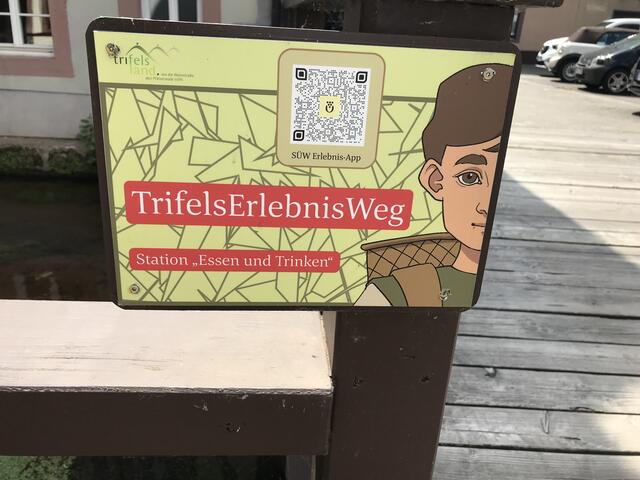 QR Code scannen | Foto: B. Bender