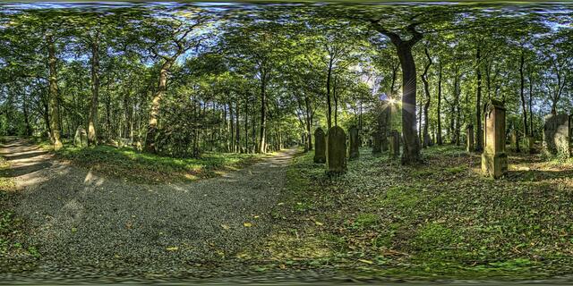 Jüdischer Friedhof Obergrombach 3 | Foto: Henrik Fessler