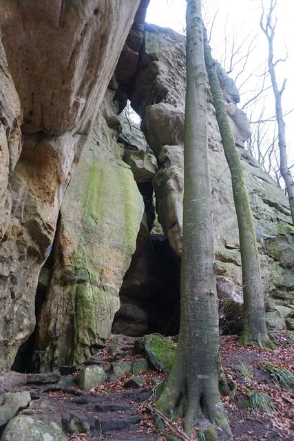Müller-Trail in Luxemburg | Foto: Markus Pacher