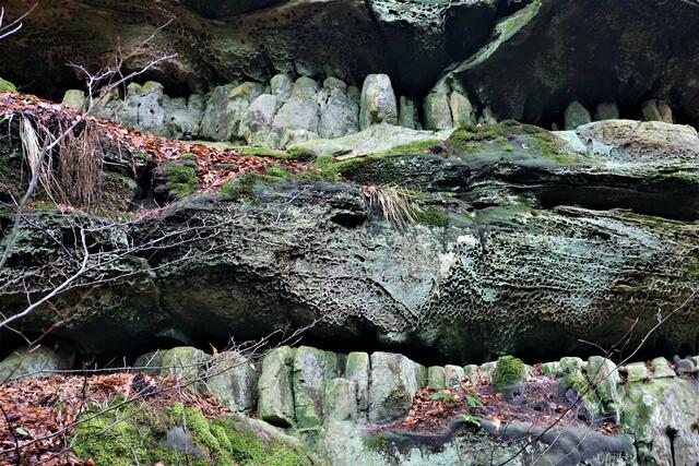 Müller-Trail in Luxemburg | Foto: Markus Pacher