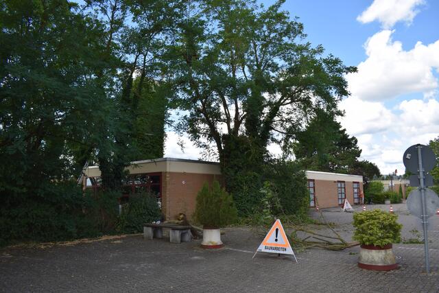 Baumarbeiten: dienen der Sicherheit und sorgen dafür dass Pflanzen gut gedeihen. | Foto: B. Bender