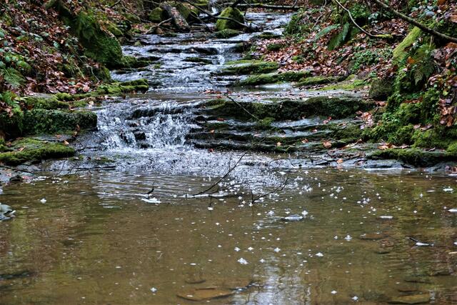 Müller-Trail in Luxemburg | Foto: Markus Pacher
