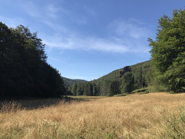 Und zurück geht es auf der gegenüberliegenden Seite des Tals | Foto: B. Bender