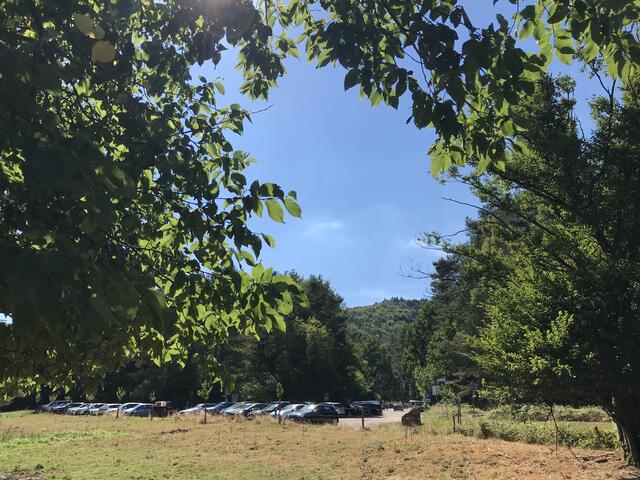 Blick zum Parkplatz | Foto: B. Bender