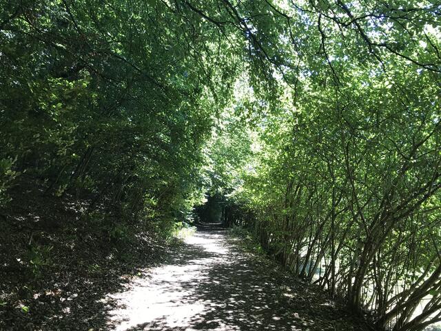 Und immer wieder schattige Abschnitte | Foto: B. Bender