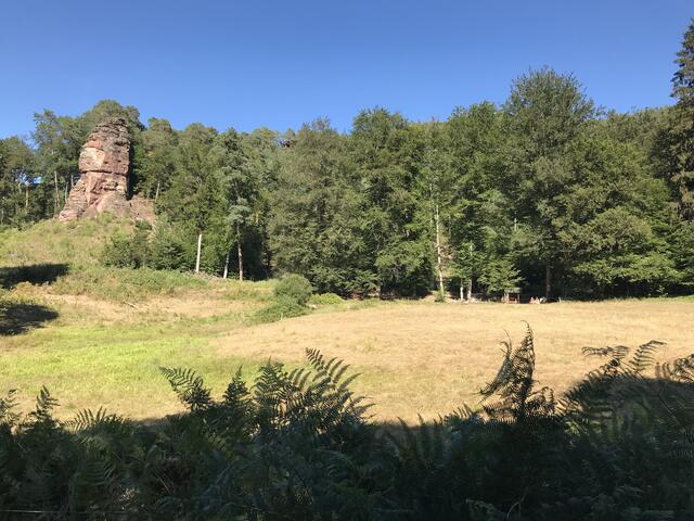 "Ebenfällter" und links die Quelle | Foto: B. Bender