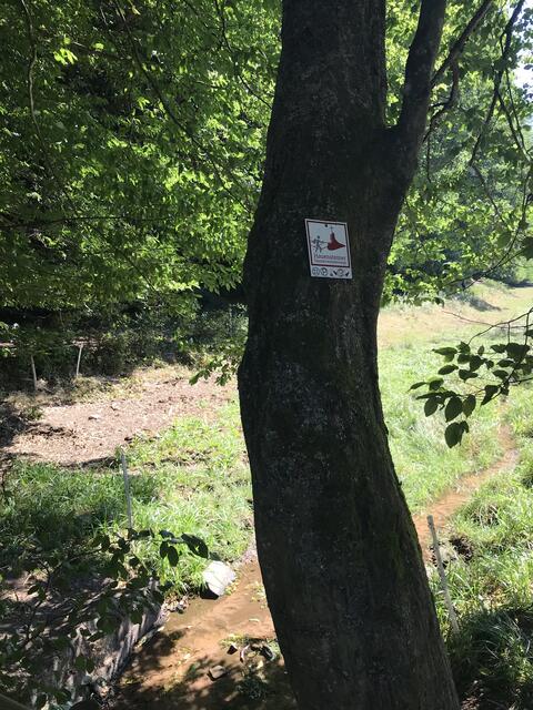 Hier geht's lang | Foto: B. Bender