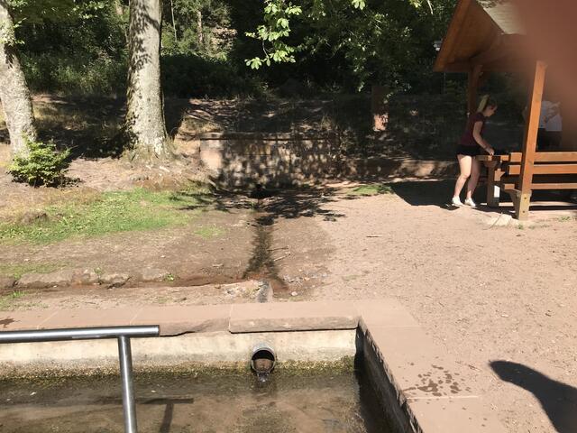 Das eiskalte Quellwasser fließt direkt ins Kneipp-Becken | Foto: B. Bender