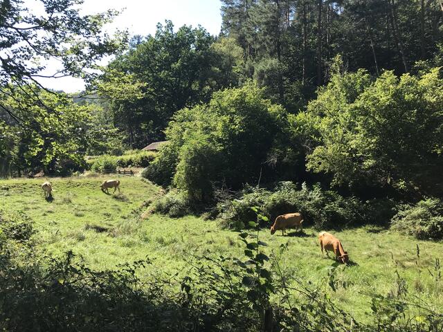 Ländliche Idylle | Foto: B. Bender