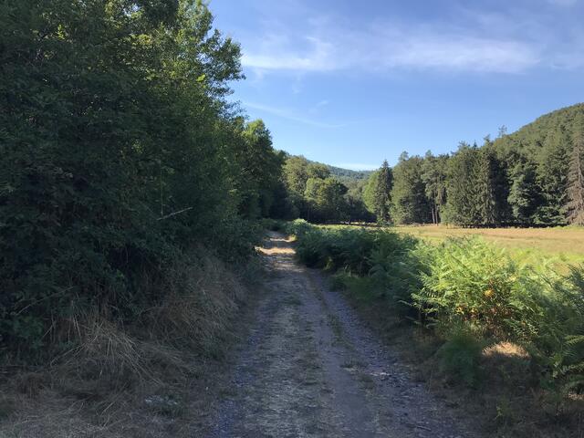 Wunderschönes Stephanstal | Foto: B. Bender