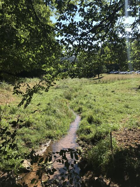 Hier plätschert sie - die Queich | Foto: B. Bender