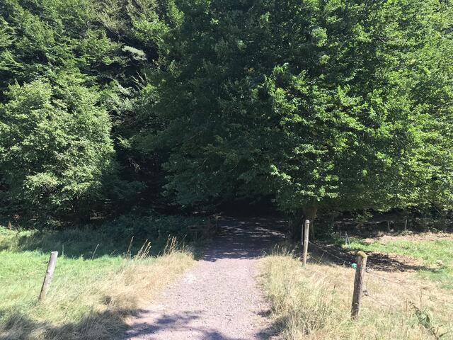 Gegenüber vom  Parkplatz geht der Weg über eine Wiese zur Brücke über die Queich | Foto: B. Bender