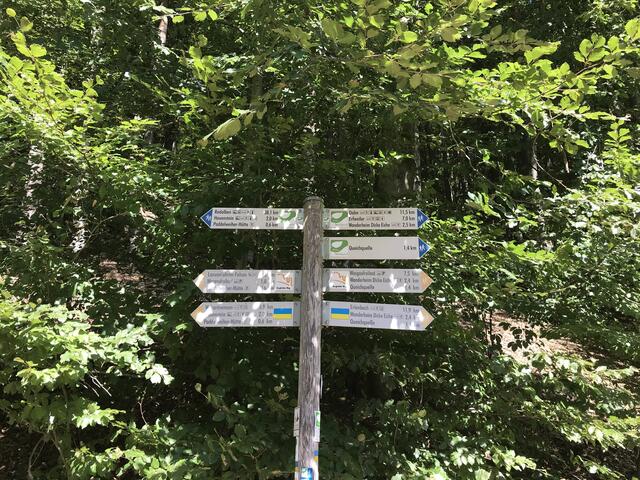 Zahlreiche Wandermöglichkeiten in Hauenstein | Foto: B. Bender