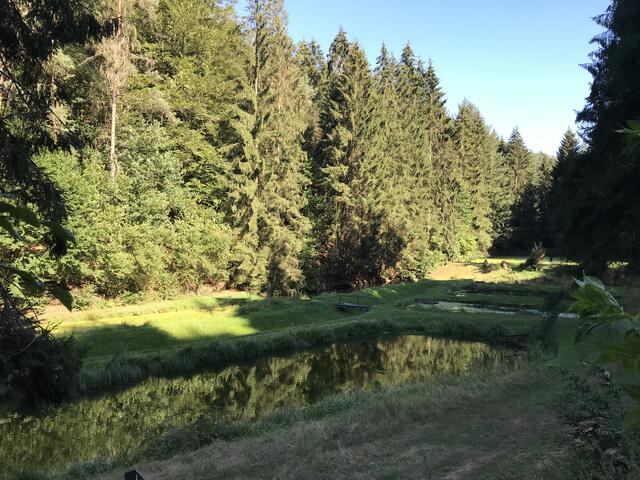 Und wieder vorbei an den Weihern | Foto: B. Bender