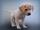 Auch Welpen müssen die Verständigung mit Hunden lernen und Unsicherheiten verlieren.  | Foto: Gerhard/Pixabay.com
