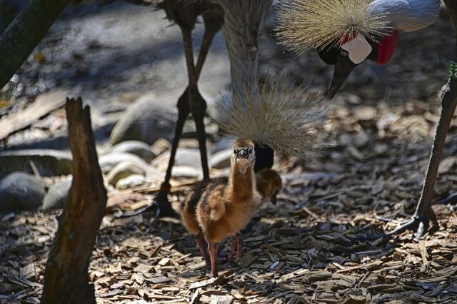 Foto: Ilona Schäfer