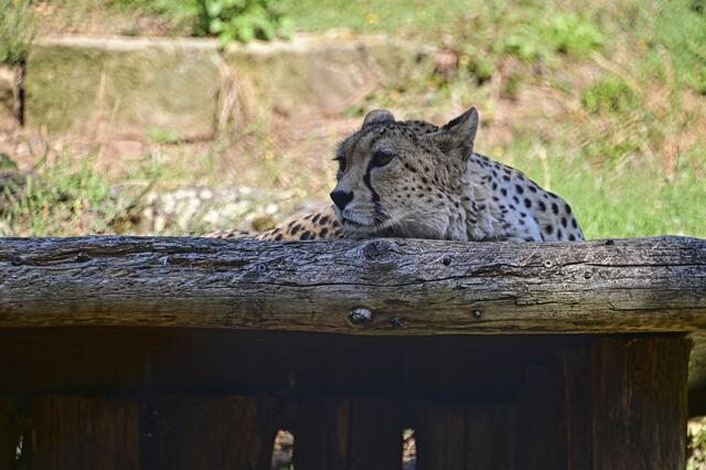 Foto: Ilona Schäfer