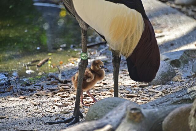 Foto: Ilona Schäfer