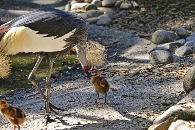 Foto: Ilona Schäfer