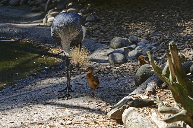 Foto: Ilona Schäfer