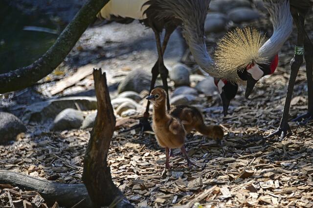 Foto: Ilona Schäfer