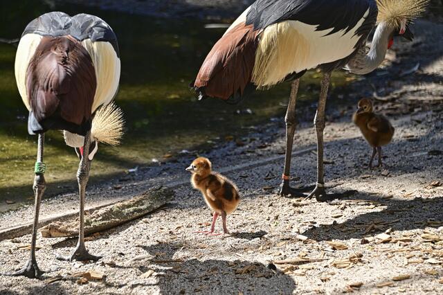 Foto: Ilona Schäfer