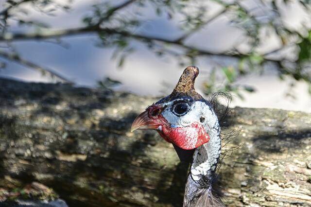 Foto: Ilona Schäfer