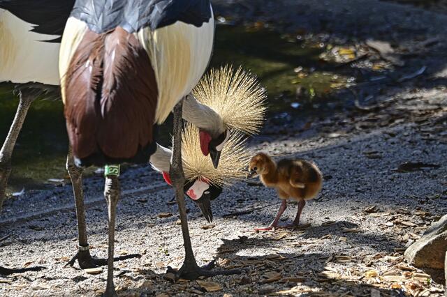 Foto: Ilona Schäfer