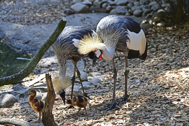 Foto: Ilona Schäfer