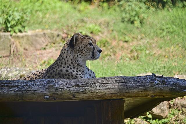 Foto: Ilona Schäfer