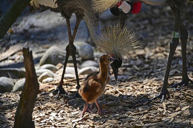 Foto: Ilona Schäfer