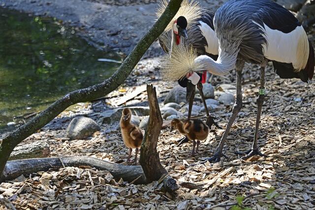 Foto: Ilona Schäfer