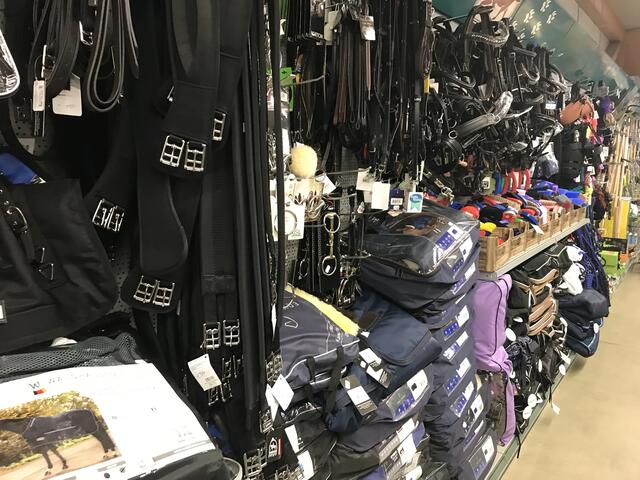 Sattelgurte, Gebisse, Abschwitz- und Stalldecken...... | Foto: Claudia Bardon