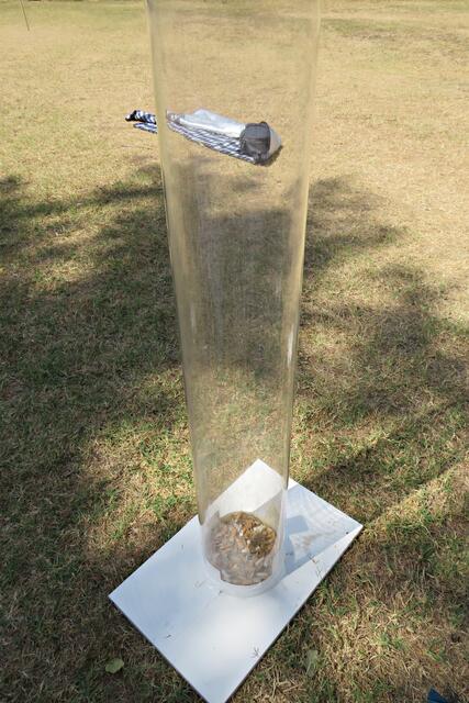 Diese Plexiglasröhre sollte noch etliche Kippen bis zum Ende bekommen | Foto: Brigitte Melder