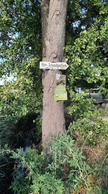 Foto: Martina Müller