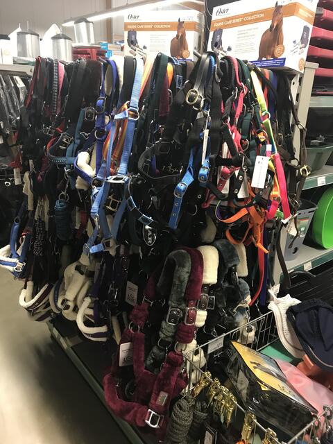 Ein umfangreiches Sortiment auch in der Pferdeabteilung, denn hier haben Pferdefreunde die Qual der Wahl  | Foto: Claudia Bardon